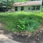 Lawn Care