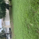 Customers lawn before