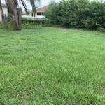 Customers lawn before