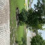 Customers lawn after