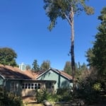 Close to home
