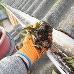 Gutter Clean-Out