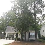 Front of home 4 tree removal