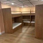Lake House Bunk Beds