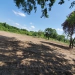 Land Clearing After