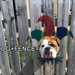 Dog Fence