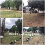 Yard Cleanup