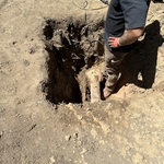 Main Sewer Replacement