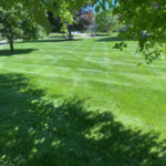 Double Cut