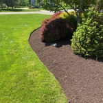 Bed Edging