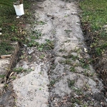 Construction Clean up