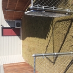 Yard Makeover