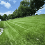 Lawn