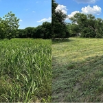 Field Clearing