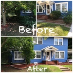 Shrubs Out - Mulch In