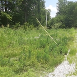 Side of gravel lot