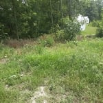 Back of gravel lot