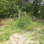 Back of gravel lot