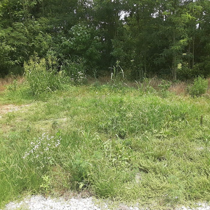Back of gravel lot