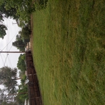 new back yard