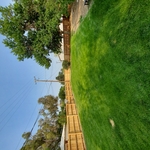 new back yard