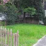 Before photo of the Yard
