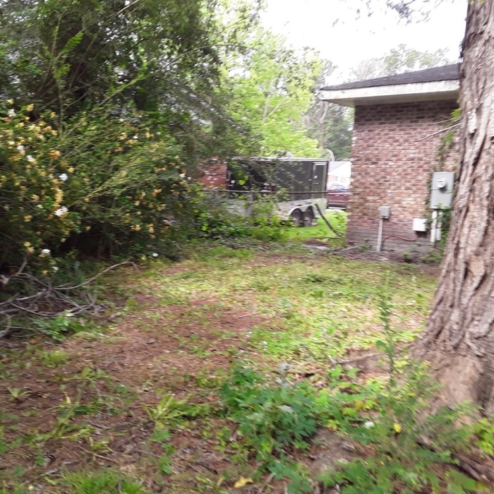 Backyard after