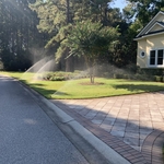 Irrigation update