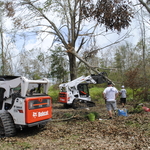 Tree Removal