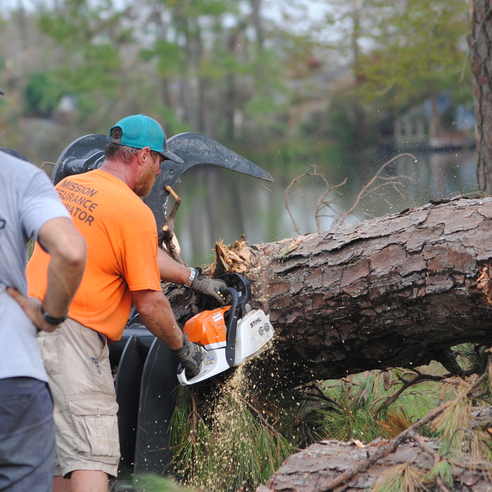 Tree Removal