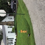 Lawn care