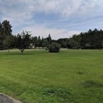 Lawn Care