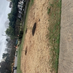 Planted