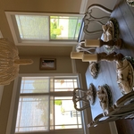Elegant Roller Shades