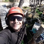 Tree trimming & removal