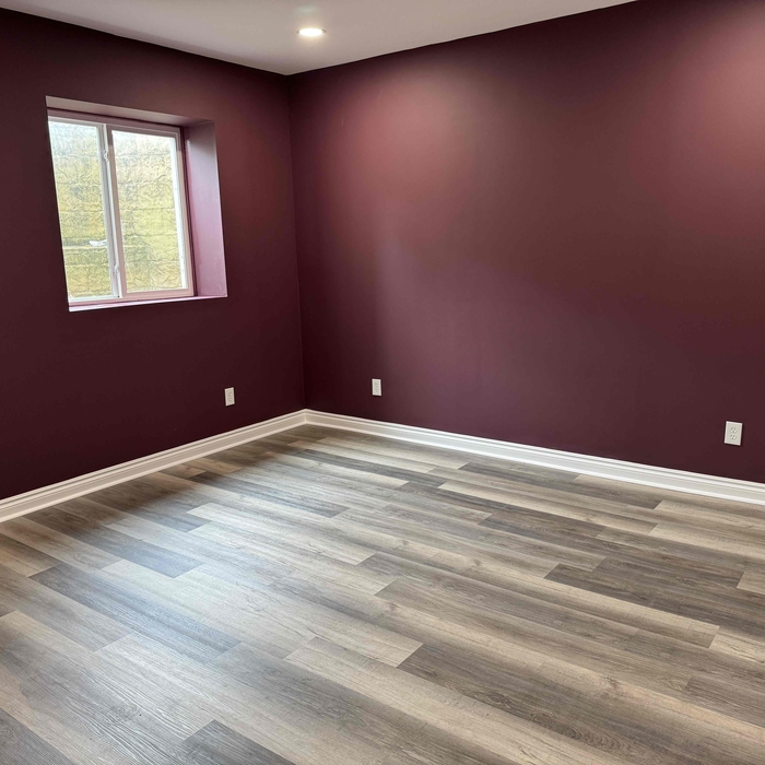 Basement remodel