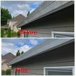 Gutter Cleaning
