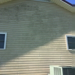 House Mold Problem