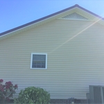 House Mold Solution