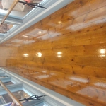 Floor Restoration