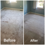 Gurnee Carpet Cleaning