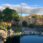 Garden Privacy Fence