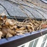 Gutter Cleaning BEFORE