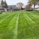 Lawn Mowing
