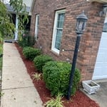 Discussion 1