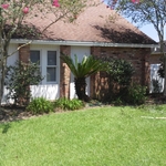 Lawn Maintenance