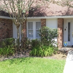 Lawn Maintenance BEFORE