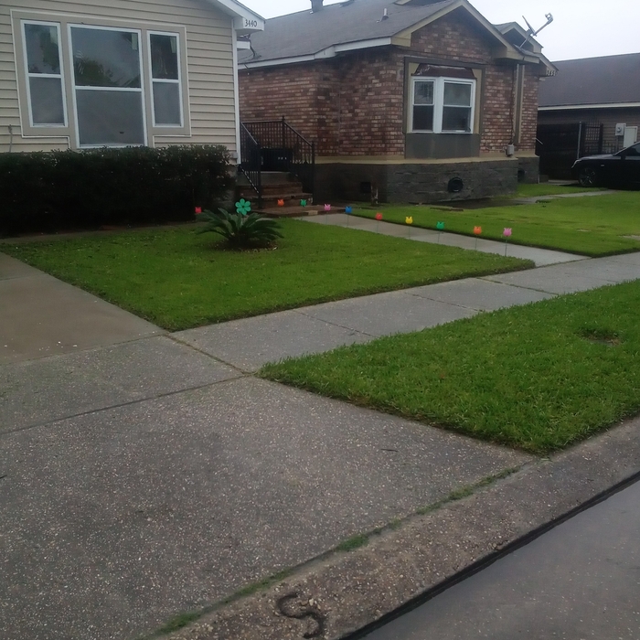 Lawnscaping AFTER