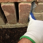 RODENTS,EXCLUSION,REPAIR