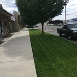 Commercial Business Lawn Care